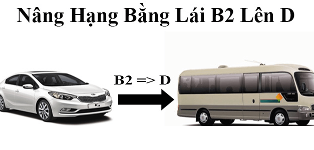 Những quy định và thủ tục nâng dấu bằng lái xe ôtô năm 2020